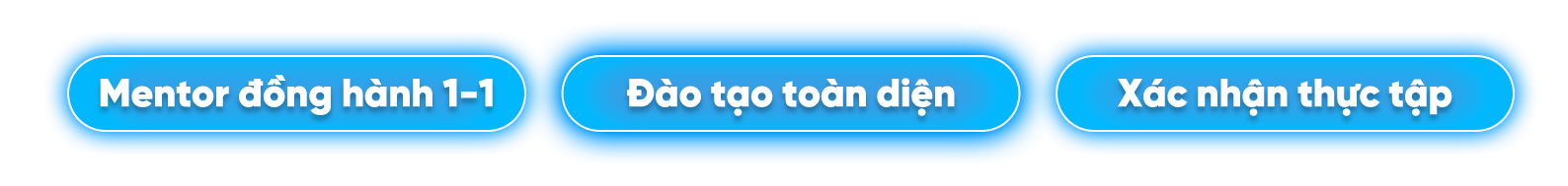 Mentor đồng hành 1-1, đào tạo toàn diện, xác nhận thực tập